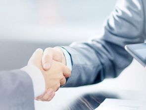 新市區(qū)公司注冊(cè)與商務(wù)信息咨詢 一站式服務(wù)助力企業(yè)啟航